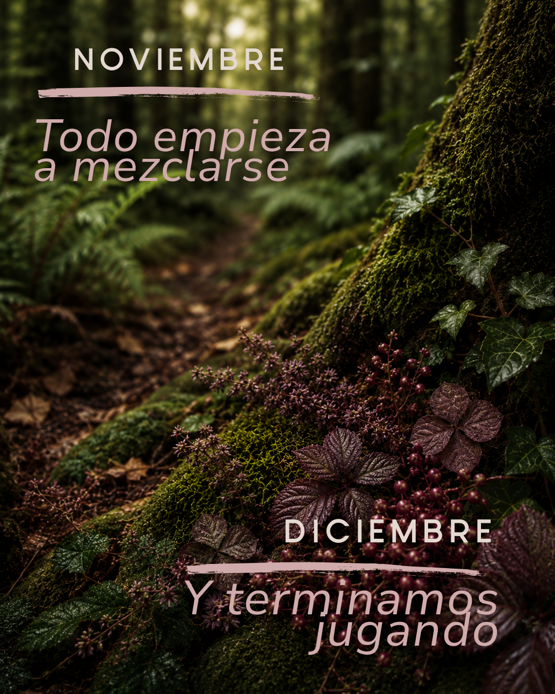 EL CLUB DE LA MADEJA SECRETA (BIMENSUAL)