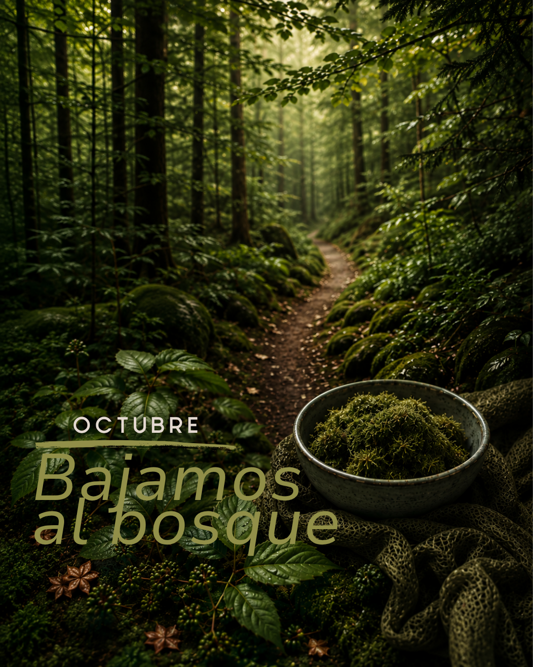 EL CLUB DE LA MADEJA SECRETA (BIMENSUAL)